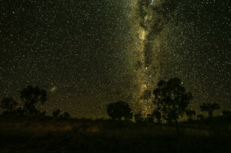 1st March, 2026  (Year A – Lent 2)  “Walk with Intent”